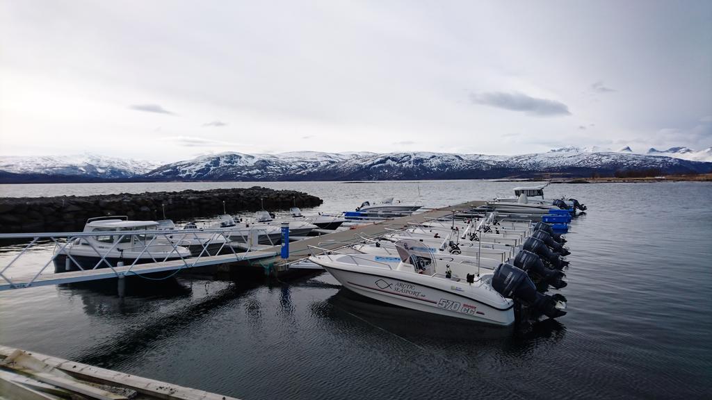 Отель Arctic Seasport Loding Экстерьер фото